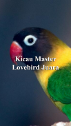 Kicau Master Lovebird Juara screenshot 0