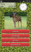 Dog Breeds Quiz screenshot 1