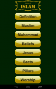 Introduction to Islam screenshot 13