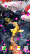 Koi Fish Live Wallpapers screenshot 5