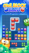 Owl Block Blast-Free Puzzle Games screenshot 3