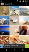 Seashell Wallpapers screenshot 4