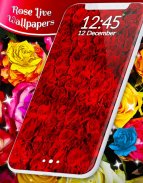 Red Rose Live Wallpaper screenshot 3