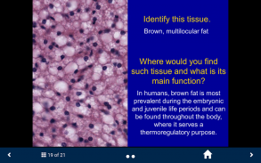 Histology Complete- SecondLook screenshot 2