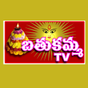 Bathukamma TV Live Icon