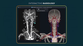 Complete Anatomy 2024 screenshot 2