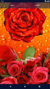 3D Red Rose Live Wallpaper screenshot 6