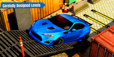 Dr. Parker : High Speed Car Driving Simulation screenshot 12