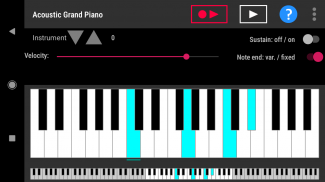 Simple piano with recorder screenshot 5