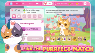 Kitty Catsanova screenshot 3