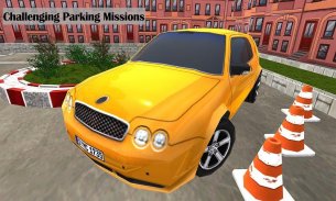 Membalik Mobil Parkir Sim 3D screenshot 4