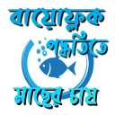 বায়োফ্লক পদ্ধতিতে মাছ চাষ ~ biofloc fish farming