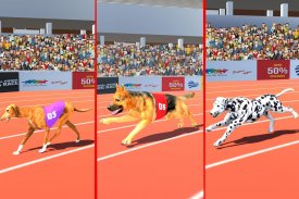 Dog Race Game: Dog Racing 3D screenshot 8