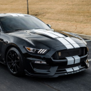 Muscle Car Mustang GT Drive