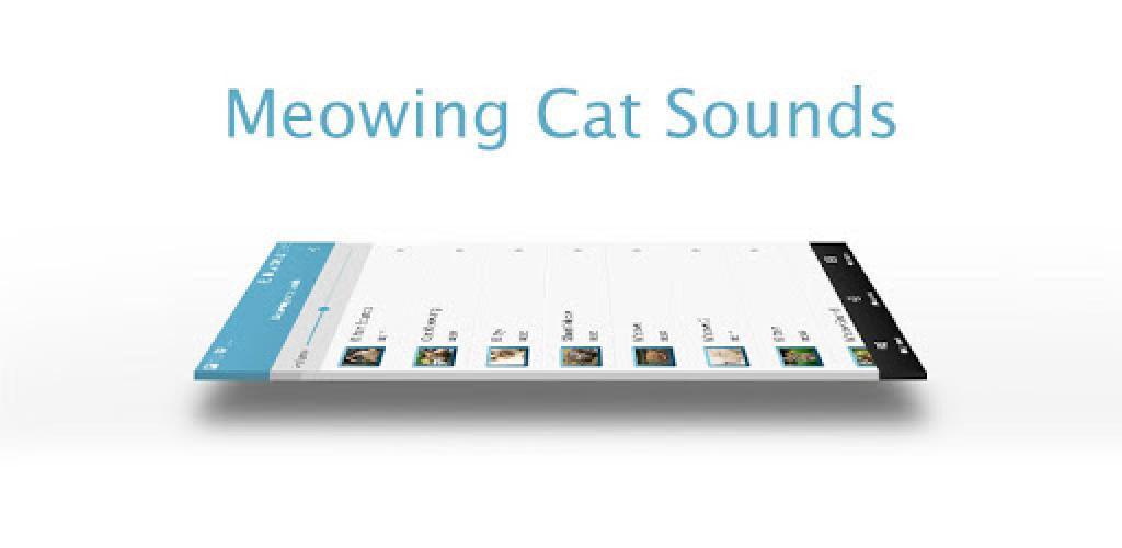 cat meowing ringtone mp3 download