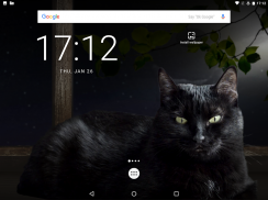 Lindo gato negro Fondos de pantalla animados screenshot 6