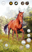 Talking Horse screenshot 10