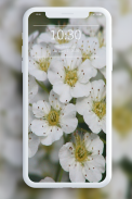 Hình nền mùa xuân screenshot 7