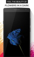 Blacker : Dark & AMOLED Wallpapers (HD,4K) screenshot 5