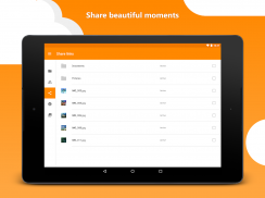 HiDrive screenshot 1