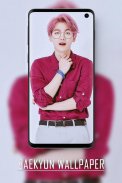 EXO Baekhyun Wallpapers KPOP Fans HD screenshot 2