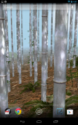 Bamboo Forest Wallpaper Lite screenshot 3