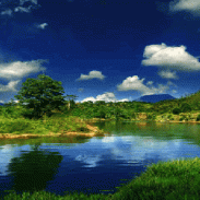 Nature Lagoon Live Wallpaper screenshot 3