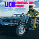 Universal Car Driving Icon