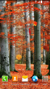 Autumn Wallpaper screenshot 8
