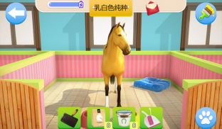 Cavallo domestico screenshot 19