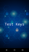 Release-Keys and Test-Keys detection screenshot 0