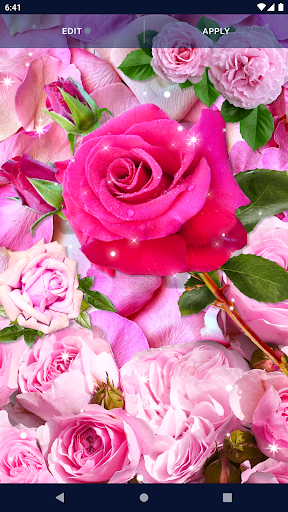 Pink Rose 4K Live Wallpaper - APK Download for Android | Aptoide
