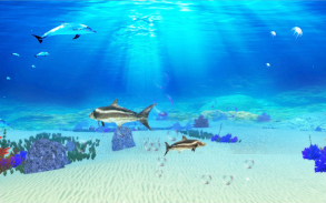 The Cobia screenshot 23