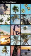 Palm Tree Wallpapers screenshot 2