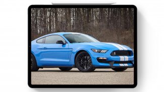 Wallpapers For Mustang Shelby Cars screenshot 8