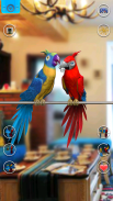 Talking Parrot Couple screenshot 5