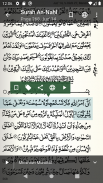 Quran - Naskh (Indopak Quran) screenshot 10