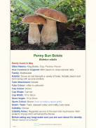 Shroomify - UK Mushroom ID screenshot 14