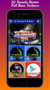 Dj Temola Remix Offline 2020 Full Bass screenshot 0