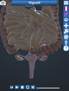 Anatomy 3D screenshot 1