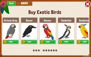 Bird Land : Jeu animalerie & Jouer avec le Oiseau screenshot 0