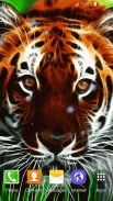 Tiger Live Wallpaper screenshot 3