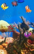 Aquarium and fishes screenshot 3