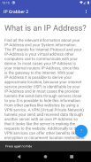 IP Grabber 2 screenshot 1
