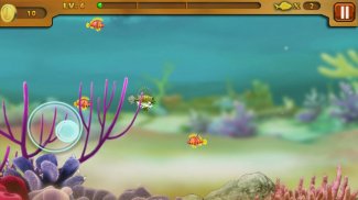 Shark Island screenshot 3