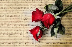 Flowers Music live wallpaper screenshot 5