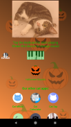 Cat Piano screenshot 7