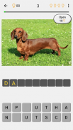Dogs Quiz - Guess All Breeds! screenshot 1