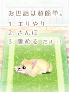 癒しの子犬育成ゲーム〜チワワ編〜 screenshot 6
