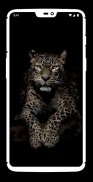 Black Wallpaper : 4K Amoled and Dark Wallpapers screenshot 12